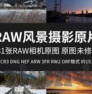 l足球比分-足球比分背后的热血与梦想，一场永不落幕的数字盛宴